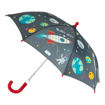 Picture of COLOUR CHANGING UMBRELLA SPACE